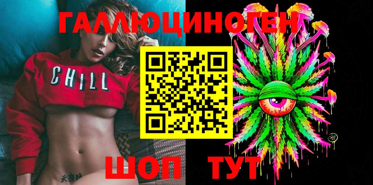 Богданович  Галлюциногенные грибы Psilocybine cubensis  Вход с VPN 